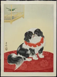 Carlin, années 1930